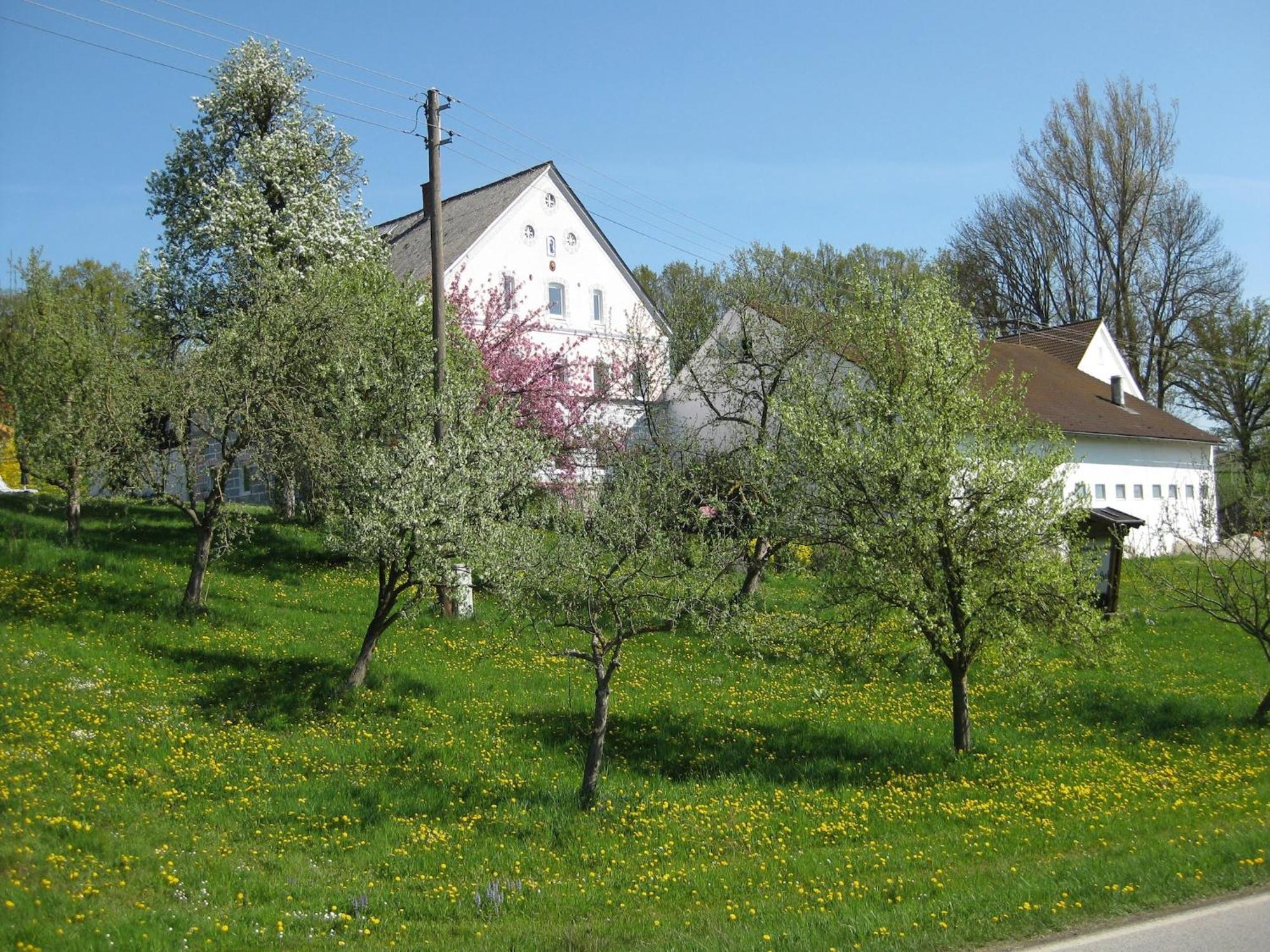 Comfortable Apartments In Rotthalm Nster Rotthalmuenster Exterior foto